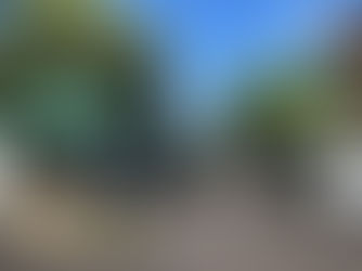 Feira livre da rua Dois de Julho, Vila Tibério, Ribeirão Preto, São Paulo, Brasil