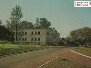 Faculdade de Agronomia e Medicina Veterinária / FCAV Faculdade de Ciências Agrárias e Veterinárias, Unesp, Jaboticabal, São Paulo, Brasil
