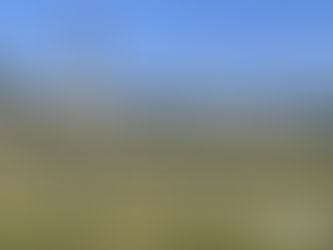 Vistas do Jockey Club de São Paulo, Brasil