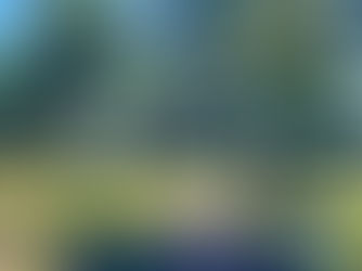 Praça Nadir Freitas Monteiro da Silva, Jardim Nova Aliança, Ribeirão Preto, São Paulo, Brasil