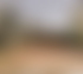 Vista do Parque Municipal Dr. Luis Carlos Raya, 2021, Ribeirão Preto, São Paulo, Brasil