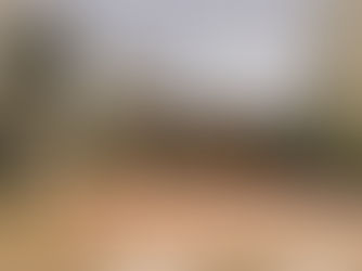 Vista do Parque Municipal Dr. Luis Carlos Raya, 2021, Ribeirão Preto, São Paulo, Brasil