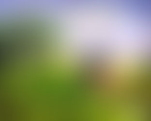 A "Curva da Morte", Jardinópolis, São Paulo, Brasil