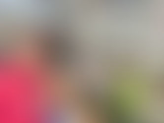 Interior da Napolitana Massas, Rua Henrique Dumont, Jardim Paulista, Ribeirão Preto, São Paulo, Brasil