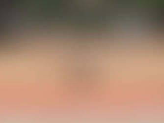 Imagens da Praça Barão do Rio Branco, Bonfim Paulista, Ribeirão Preto, São Paulo, Brasil