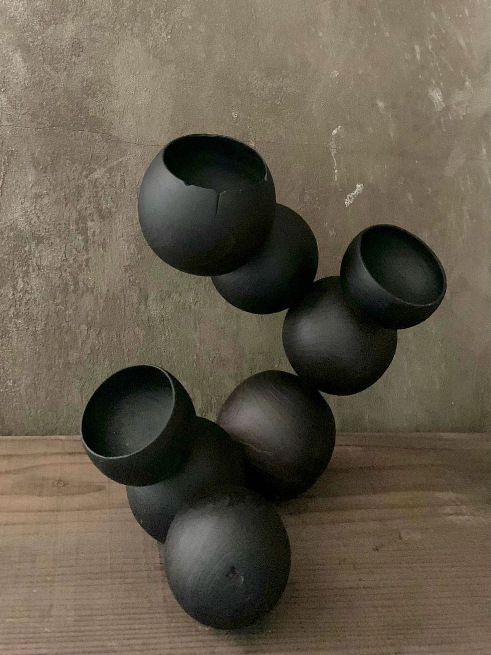 "Sprout" charred Camphor, 12" tall