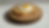 Pão tostado + ovo