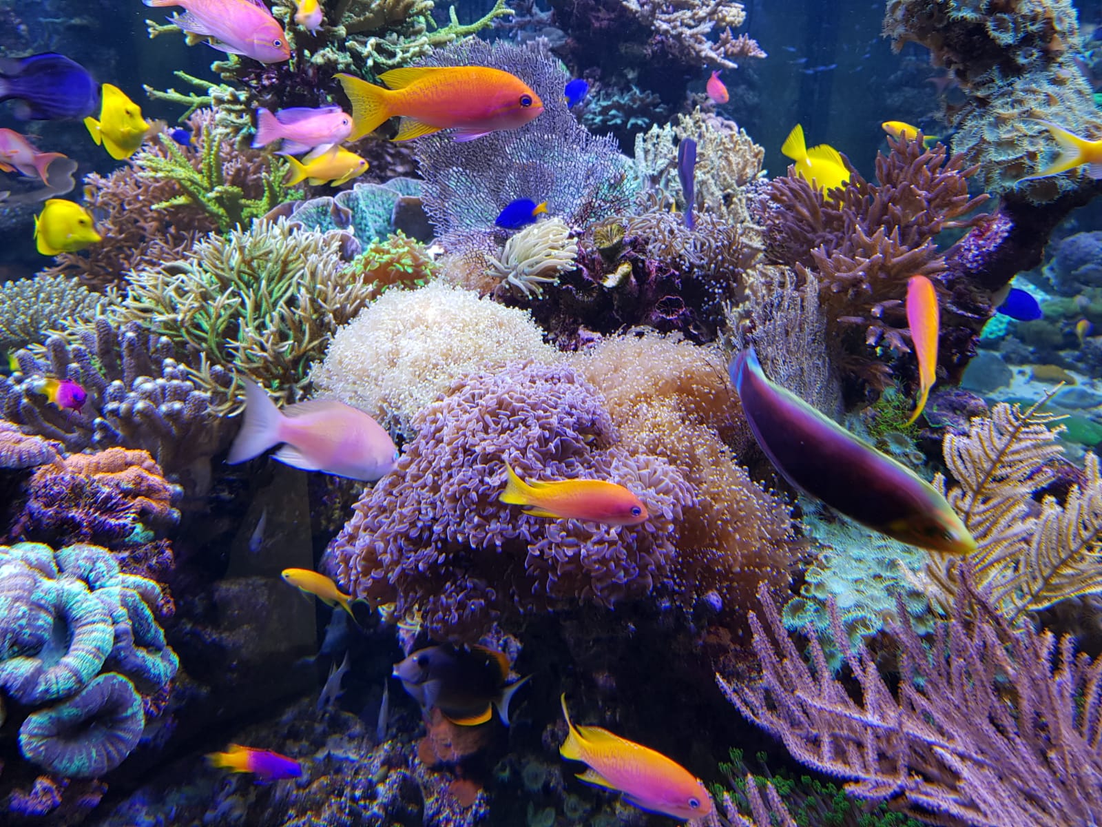 Foto aus der Galerie vun Aquador