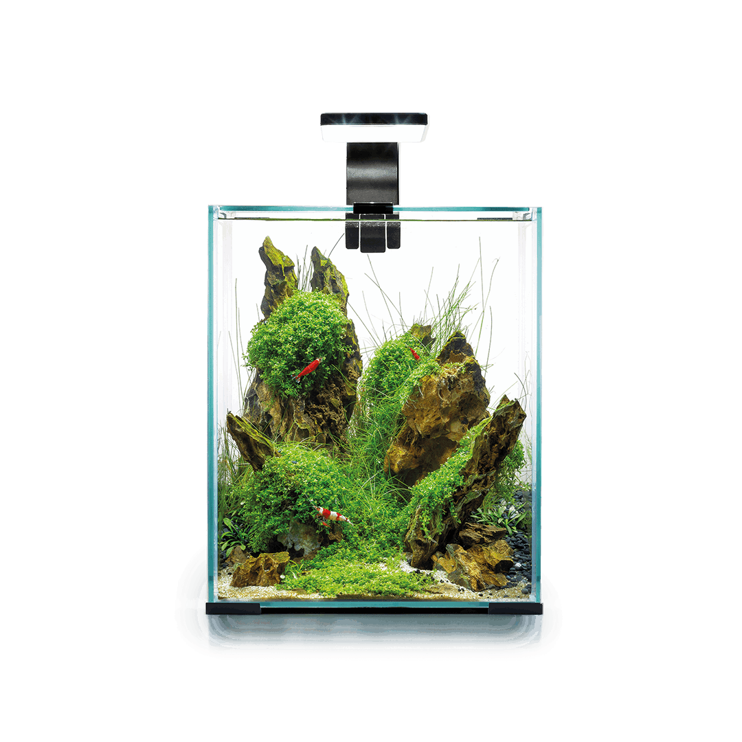 AQUAEL Shrimp Set Smart Day & Night