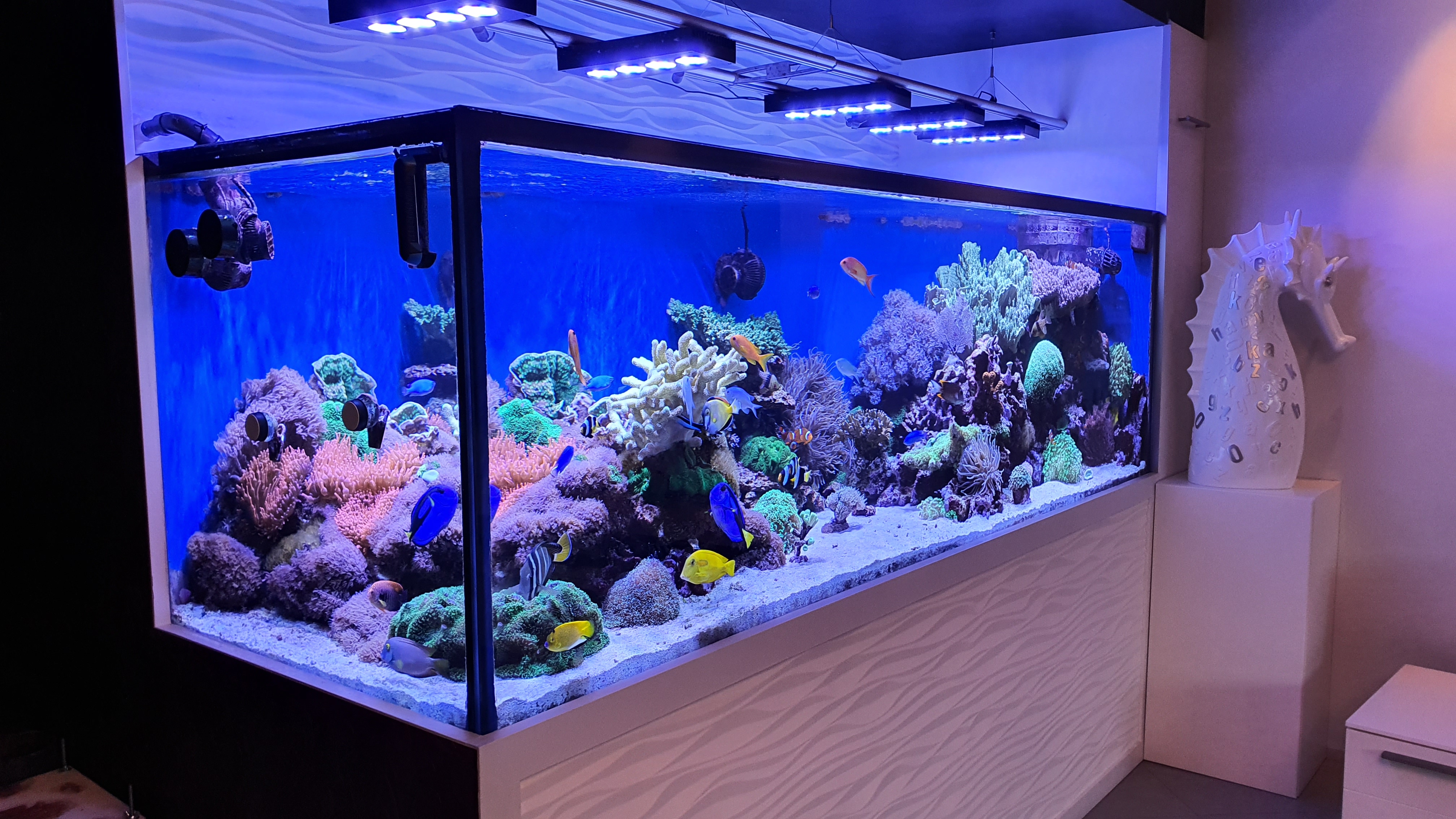 Planung a Bau vun Aquarien