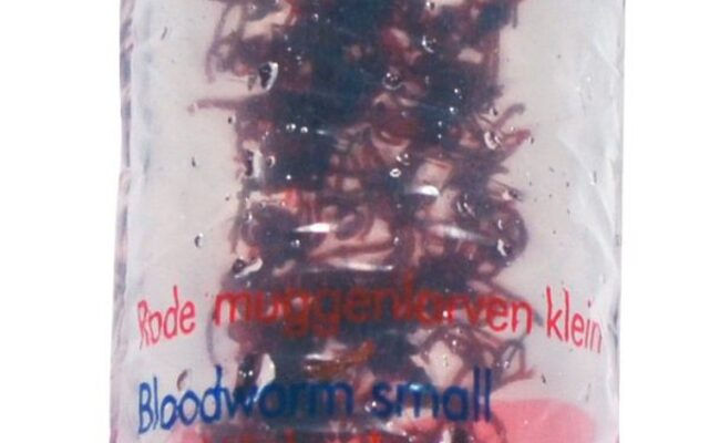 AquaDip Live Bloodworm 100mL