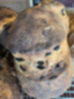 カンパーニュ(レーズン)