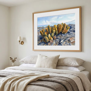 Cactus de lava