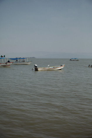 IMG_6466.jpg