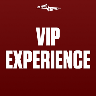 VIP EXPERIECE.png