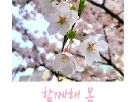 무지개빛이야기_2024봄호 '함께해 봄'