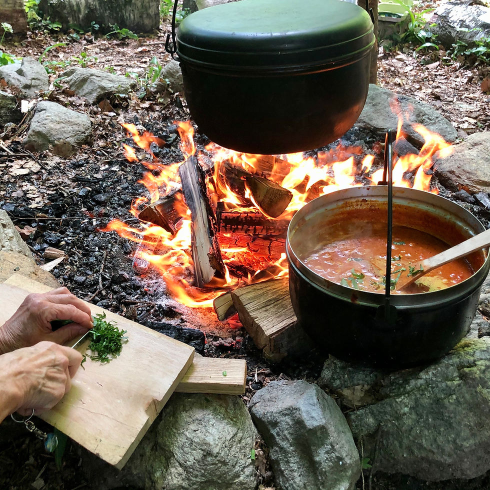 Kochen auf dem Feuer: Unser Feuer-Curry