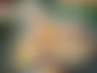 How to Hosting a Barbecue Party