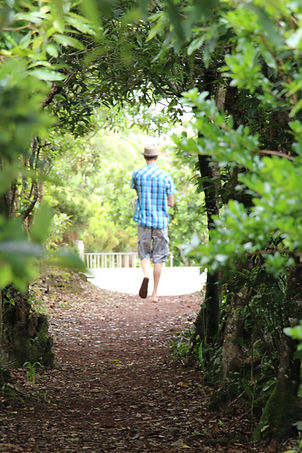 Camping-Cevennes-Gard