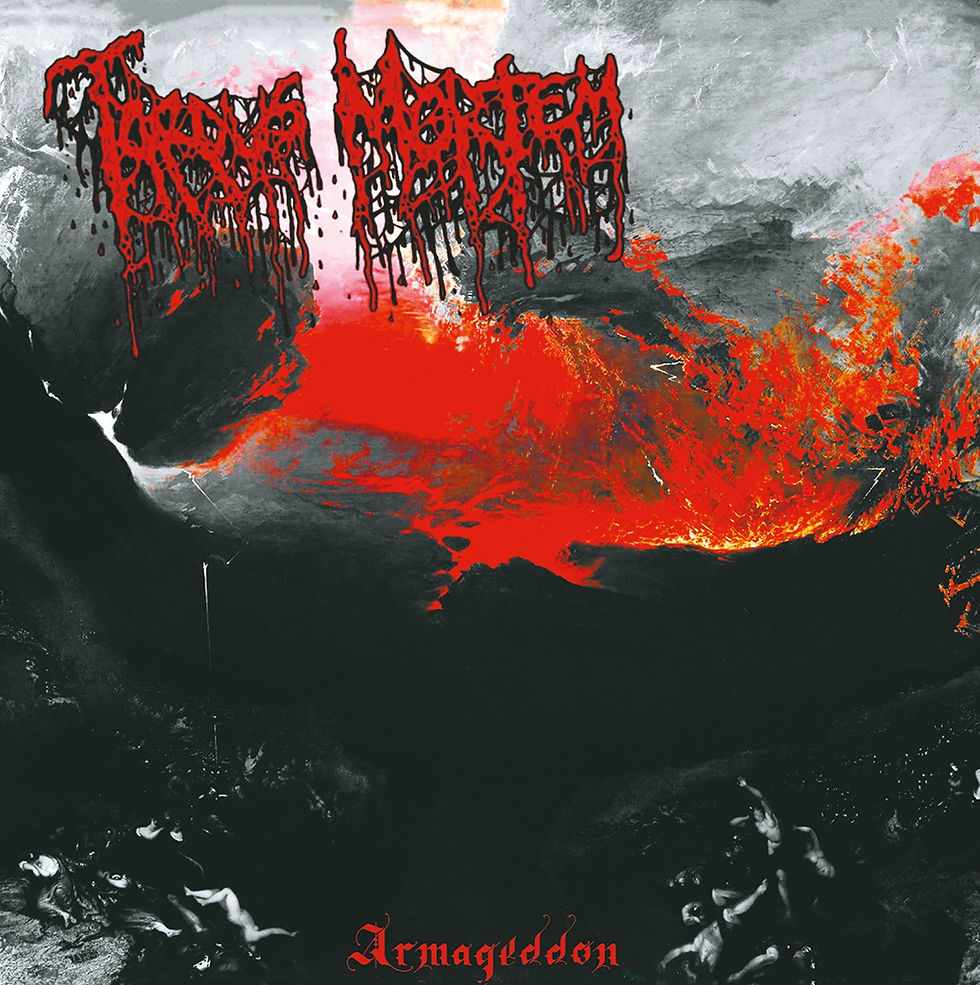 tardus-red-lp_edited