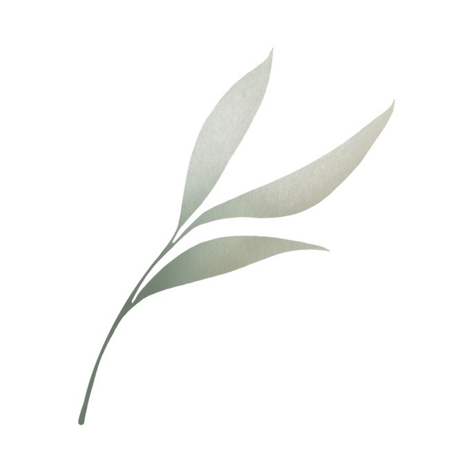 Une jardinerie (2).png