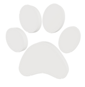 JVS (6).png