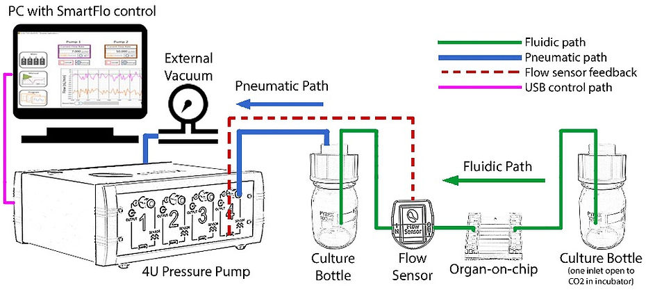 Organ-on-chip_4U pump1.jpg