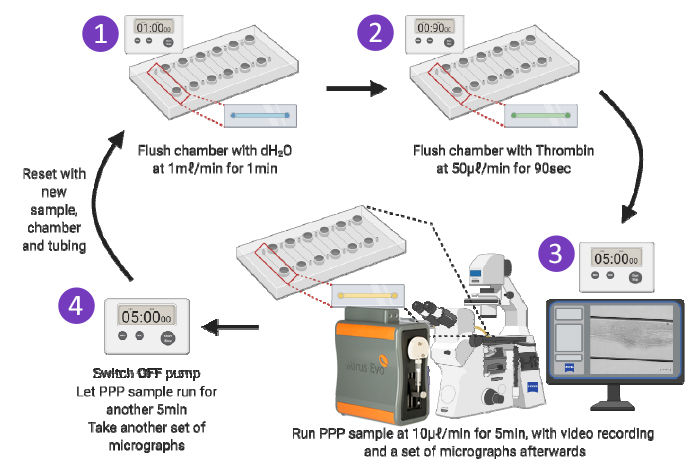Experimental set-up for standardised modelling of microclots in COVID-19 patients.