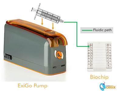VenaFlux_ExiGo-to-biochip flow path.jpg