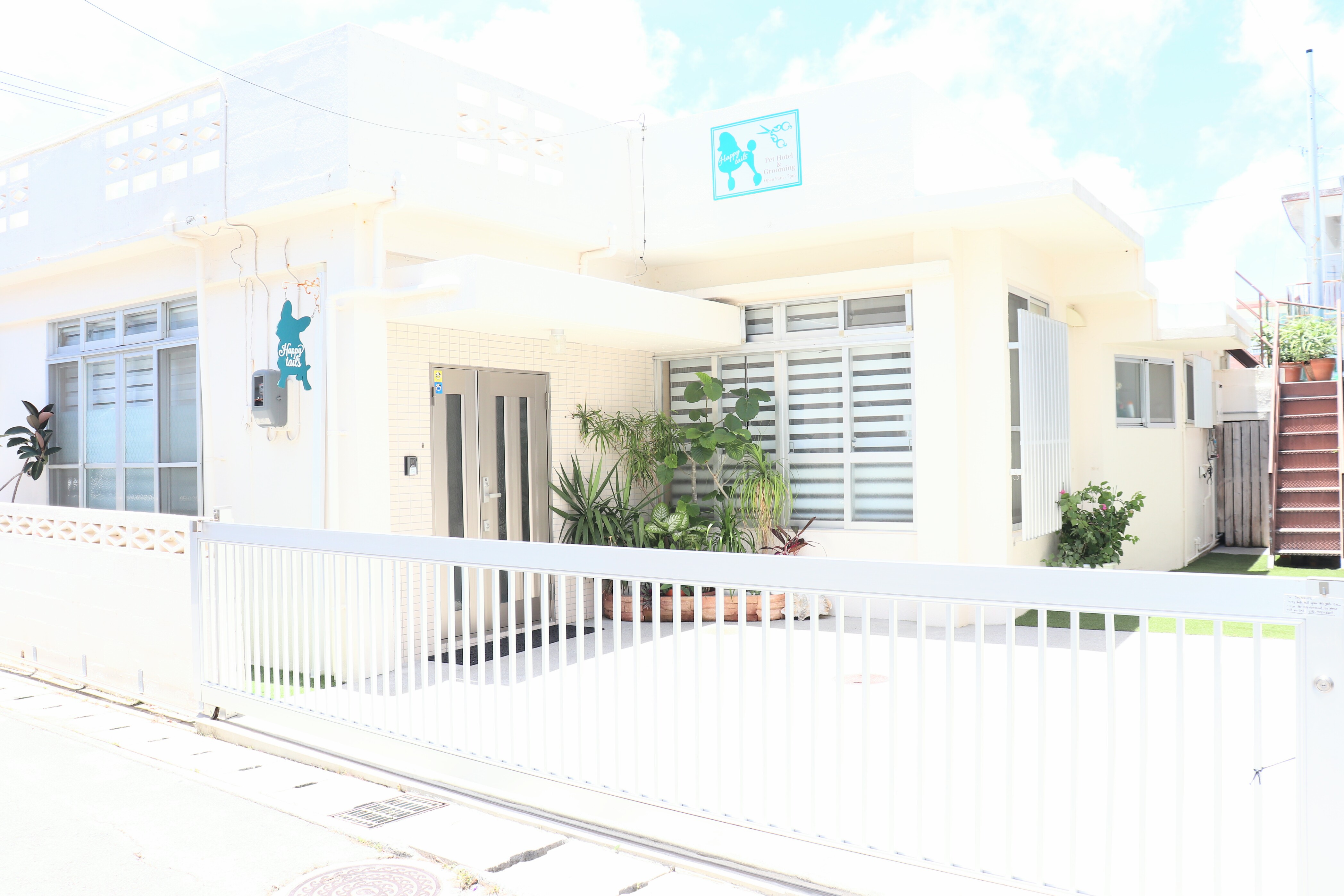 happy tails home boarding