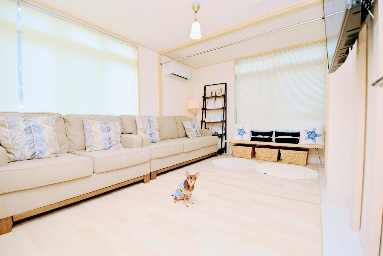 happy tails home boarding