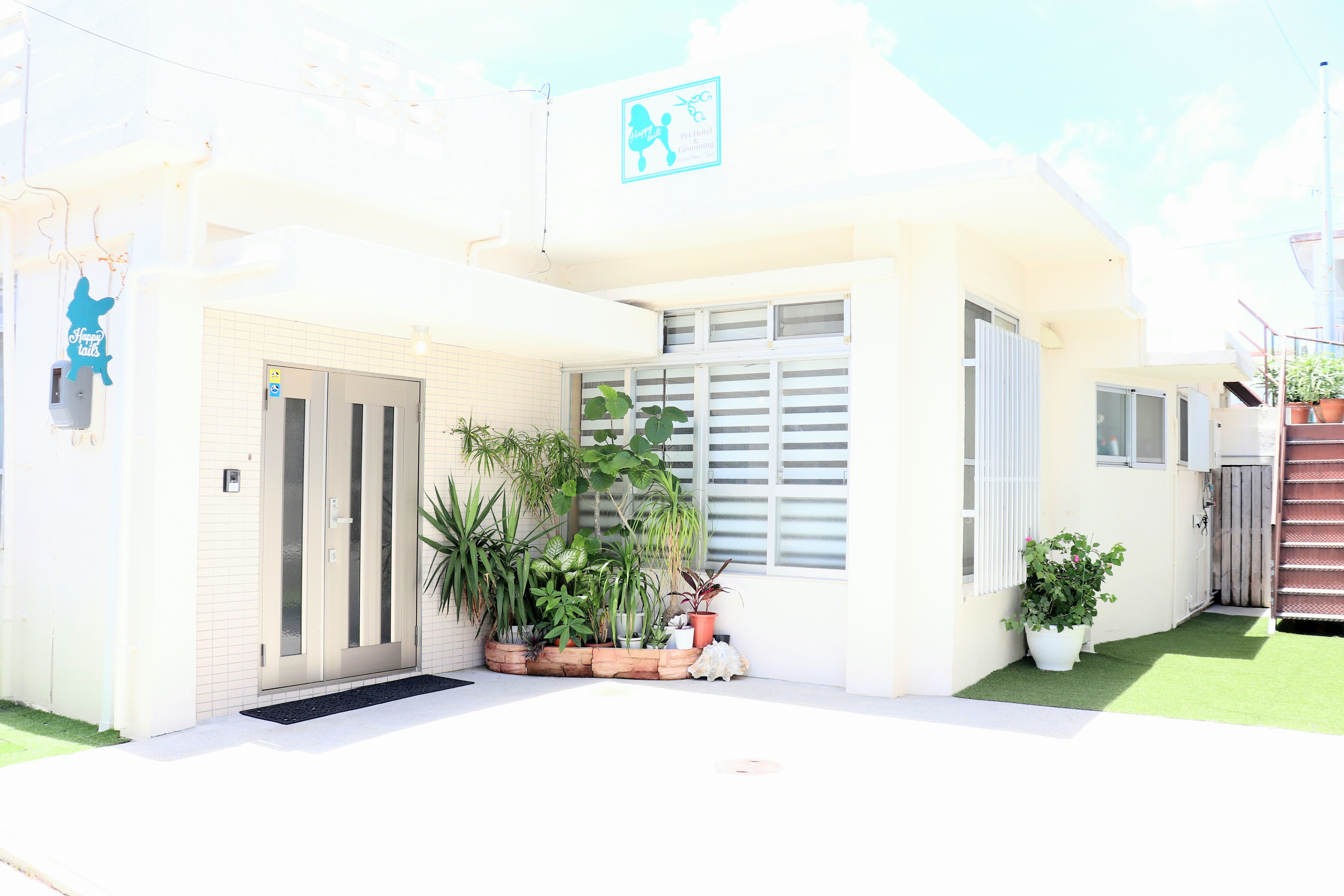 petsmart fish tanks 125 gallon