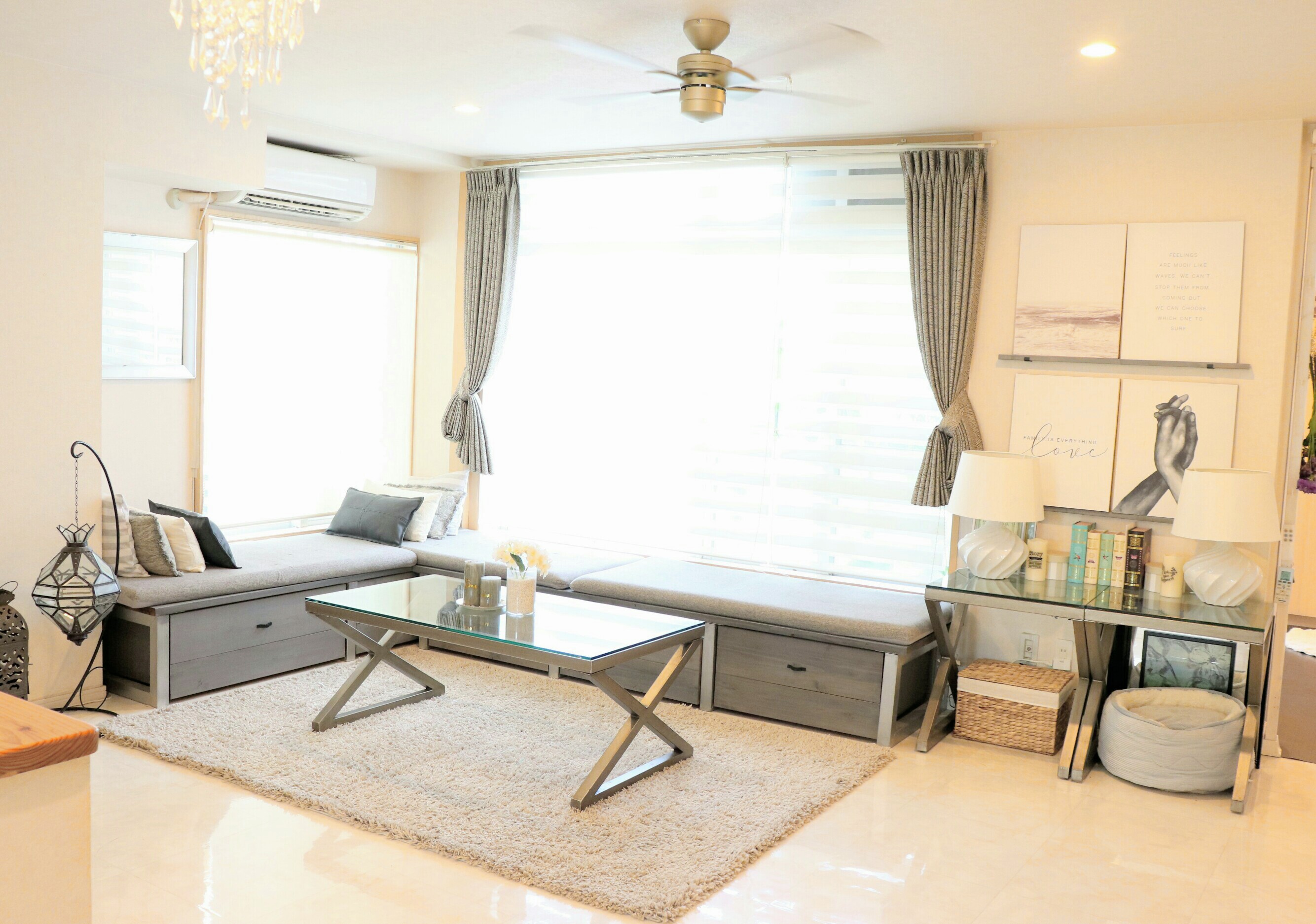 happy tails home boarding