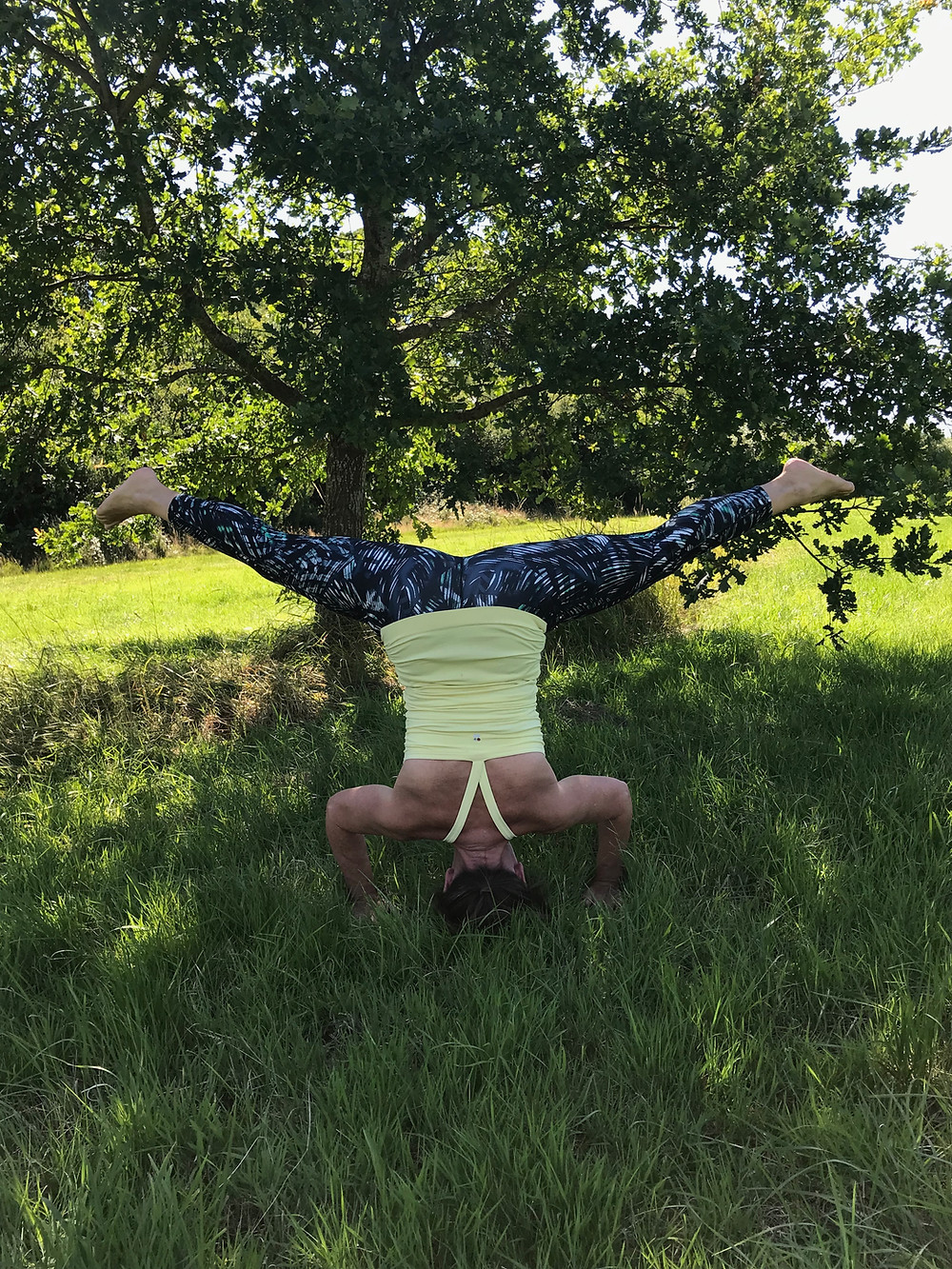 Srisasana stage 2