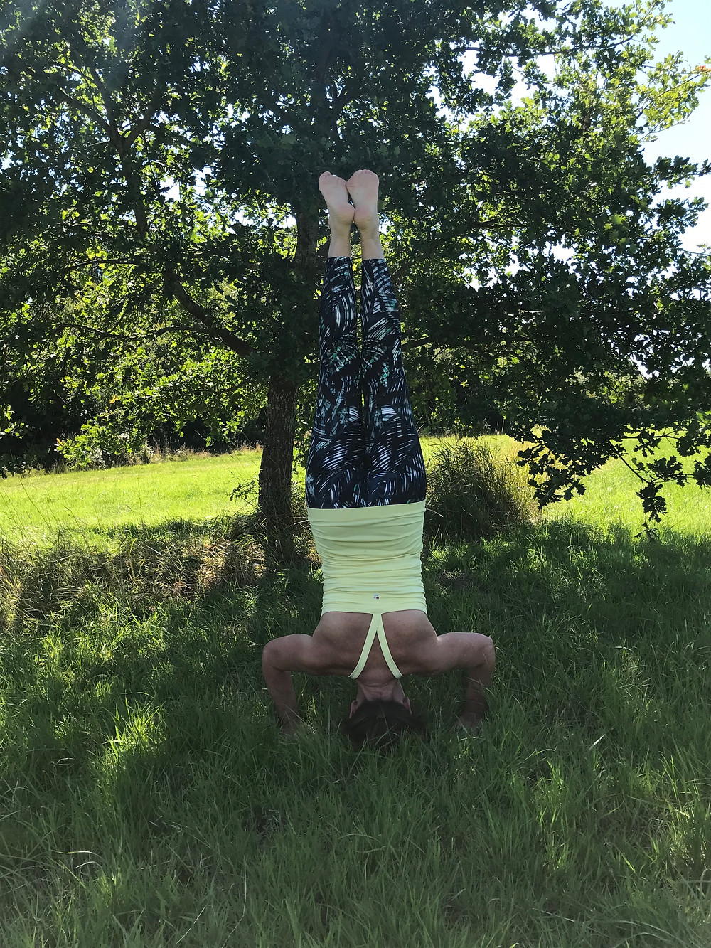 Srisasana stage 1