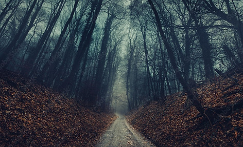 Scary path.jpeg