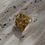 Thumbnail: Ada Stone Ring