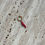 Thumbnail: Little Pepper Earring