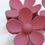 Thumbnail: Flower Hairclips II