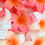 Thumbnail: Ibiza Flowers