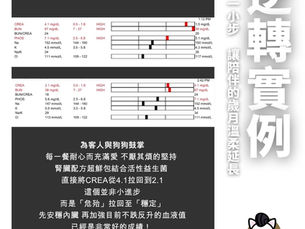 腎衰竭 逆轉