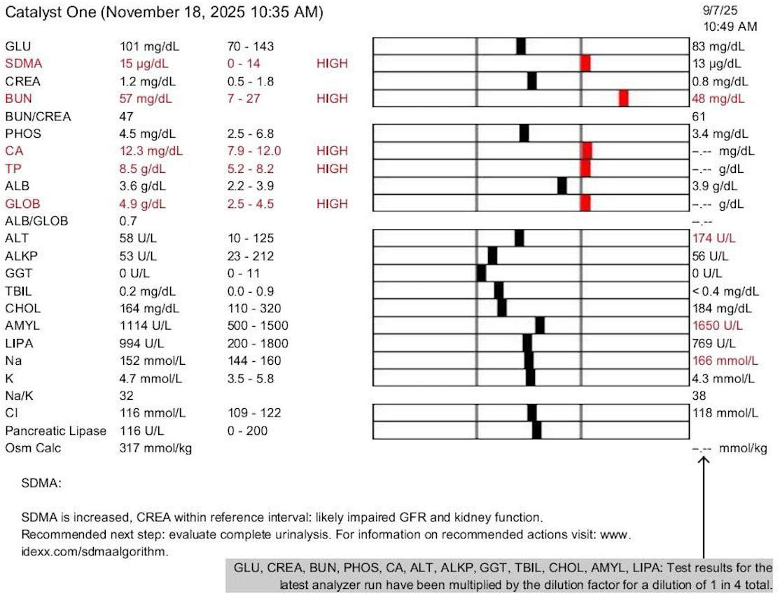 奇蹟營養計畫11月治療前
