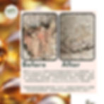 狗 貓 康復 痊癒實例 腎臟病 胰臟炎 糖尿病 食療