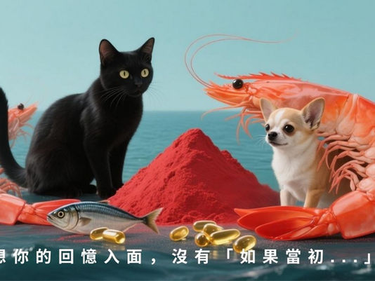 抗氧化抗炎免疫力提升 貓 狗 營養 補充