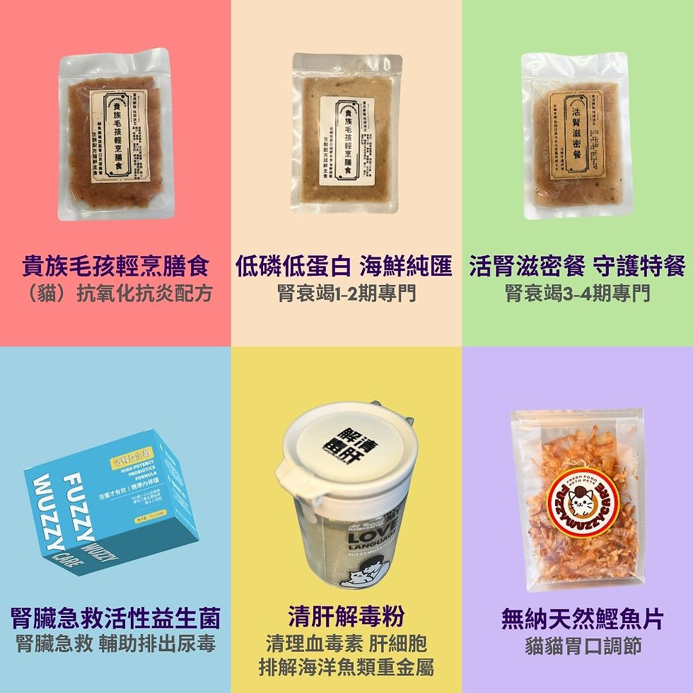 食療 狗 貓