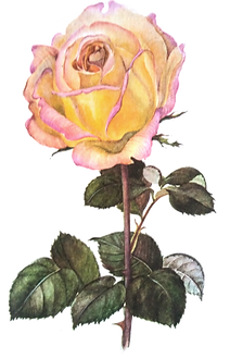 tumblr_p9oyyy5kXj1tkiw76o2_1280.png