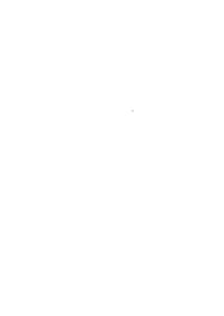 representação gravidez