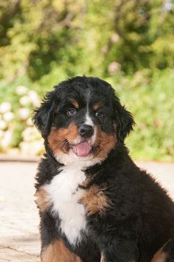 67653664_2954815141201016_79772998899628