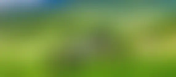 Vakole EMT29 – Täysjousitettu sähkömaasturi momenttianturilla ja 29" kiekoilla