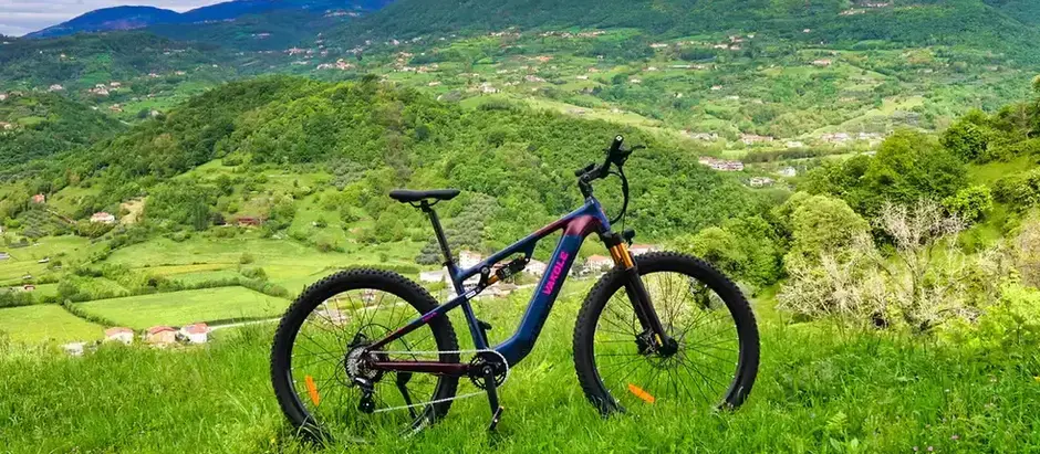 Vakole EMT29 – Täysjousitettu sähkömaasturi momenttianturilla ja 29" kiekoilla